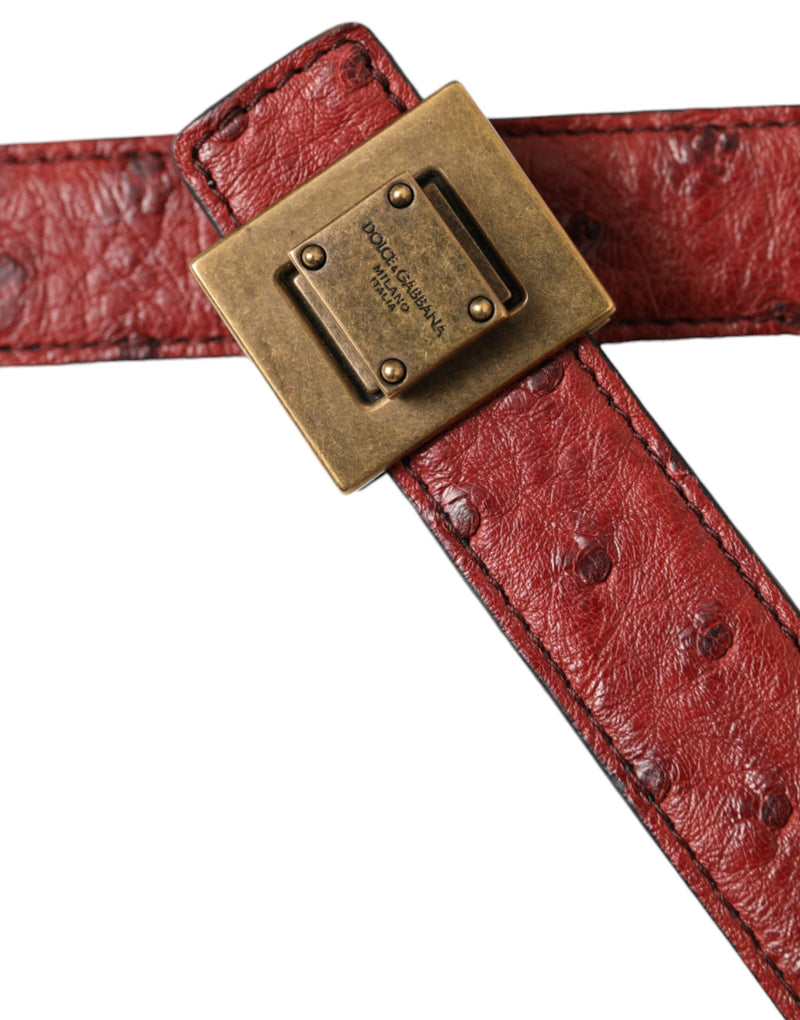Dolce & Gabbana Ceinture en Cuir Marron avec Boucle Métallique