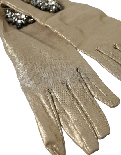 Dolce & Gabbana Beige satijnen kristal ellebooglange handschoenen