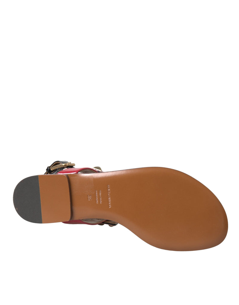 Dolce & Gabbana Multicolor Crystal Sandals - Authentic Slide Sandals
