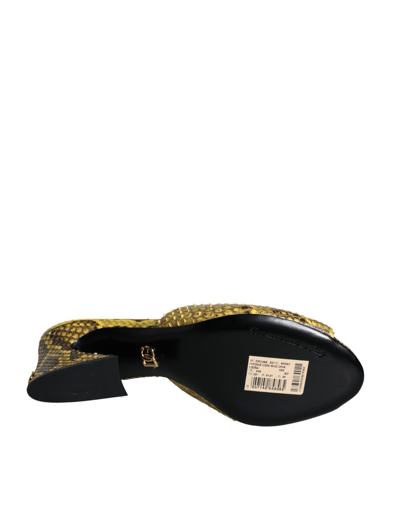 Dolce & Gabbana Yellow Python Leather Block Heels Slides