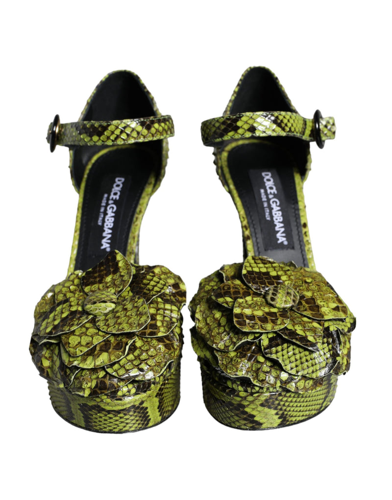 Dolce & Gabbana Sandales à Talons en Cuir Python Vert
