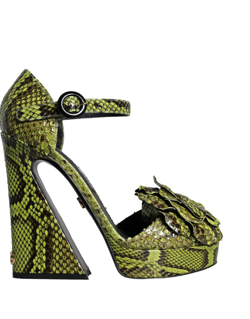 Dolce & Gabbana Sandales à Talons en Cuir Python Vert
