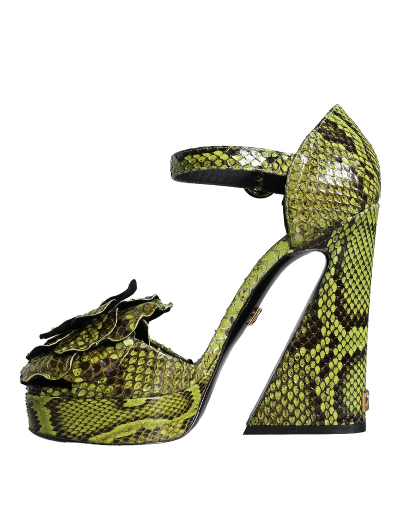 Dolce & Gabbana Sandales à Talons en Cuir Python Vert
