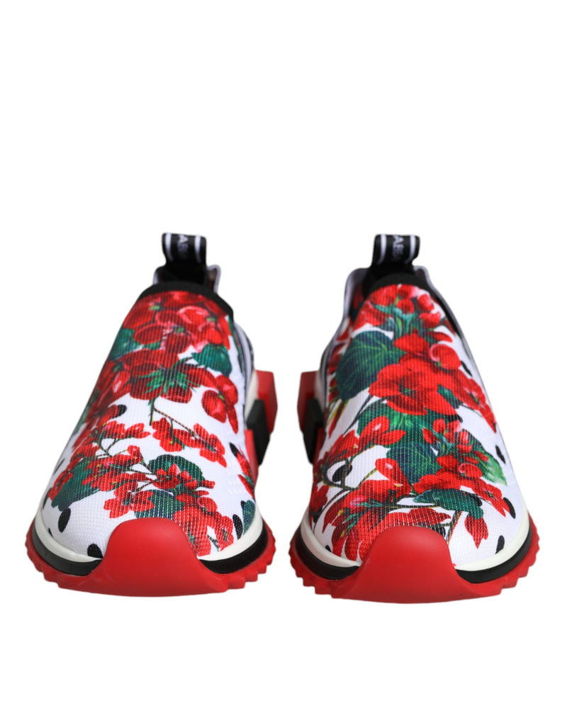 Dolce & Gabbana Multicolor Sorrento Sneakers pour Femmes