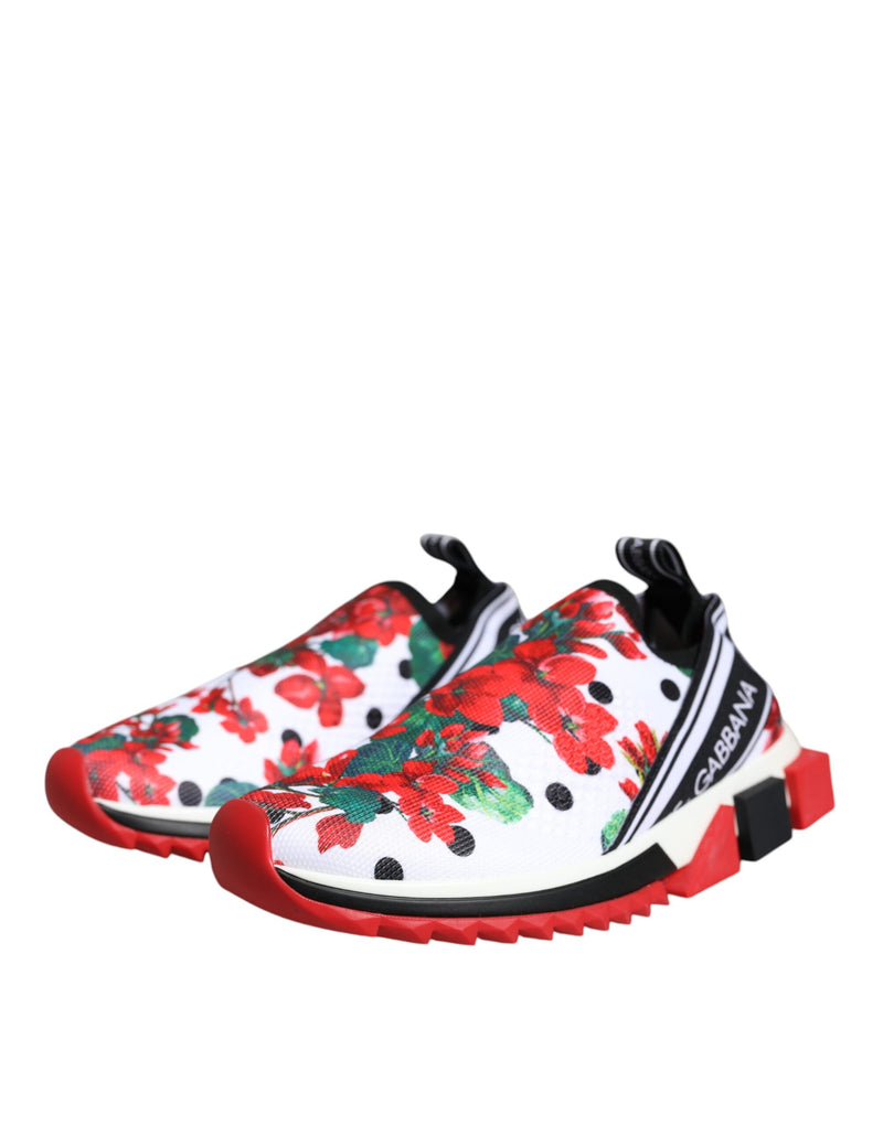 Dolce & Gabbana Multicolor Sorrento Sneakers pour Femmes