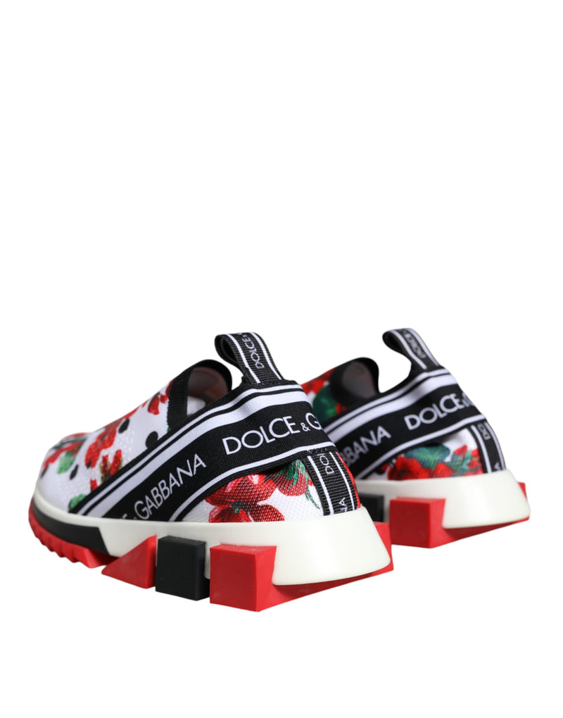Dolce & Gabbana Multicolor Sorrento Sneakers pour Femmes