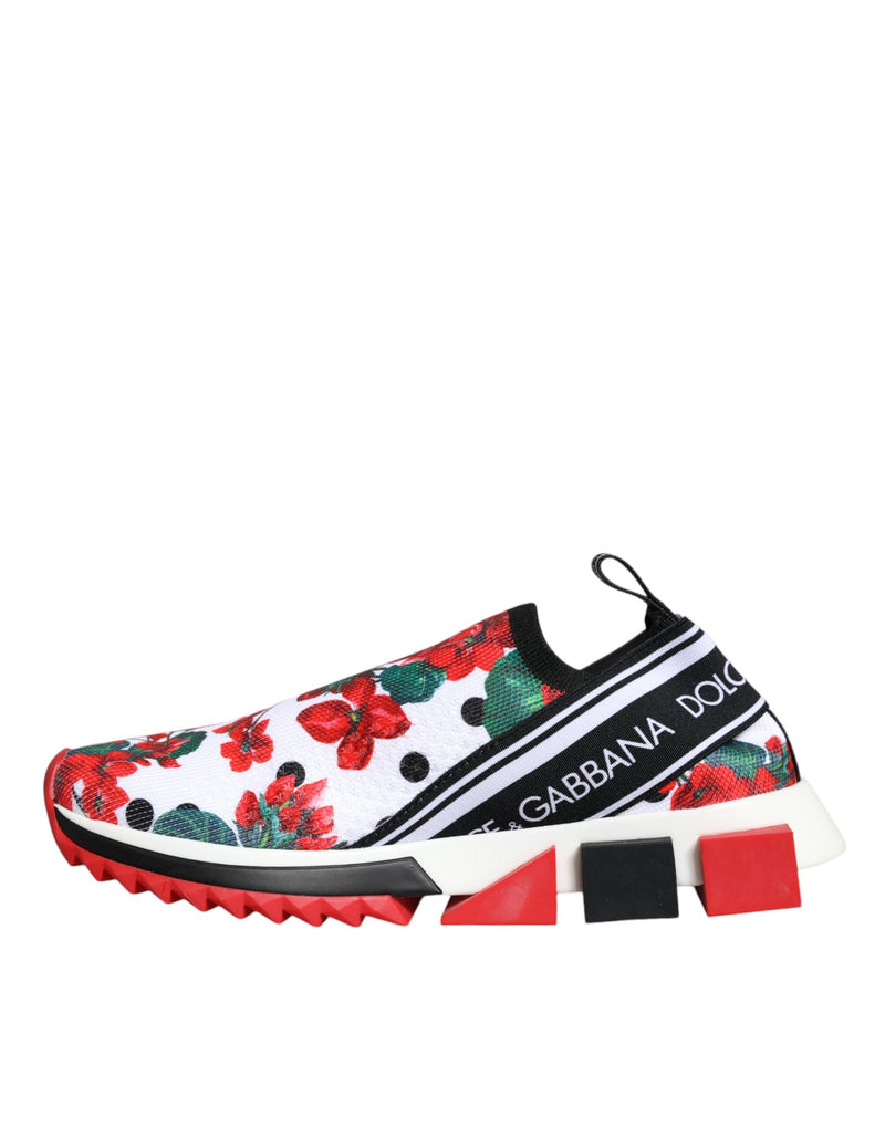 Dolce & Gabbana Multicolor Sorrento Sneakers pour Femmes
