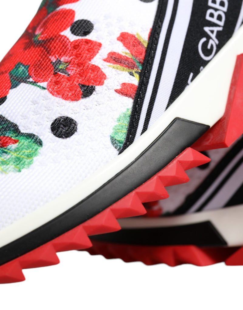 Dolce & Gabbana Multicolor Sorrento Sneakers pour Femmes