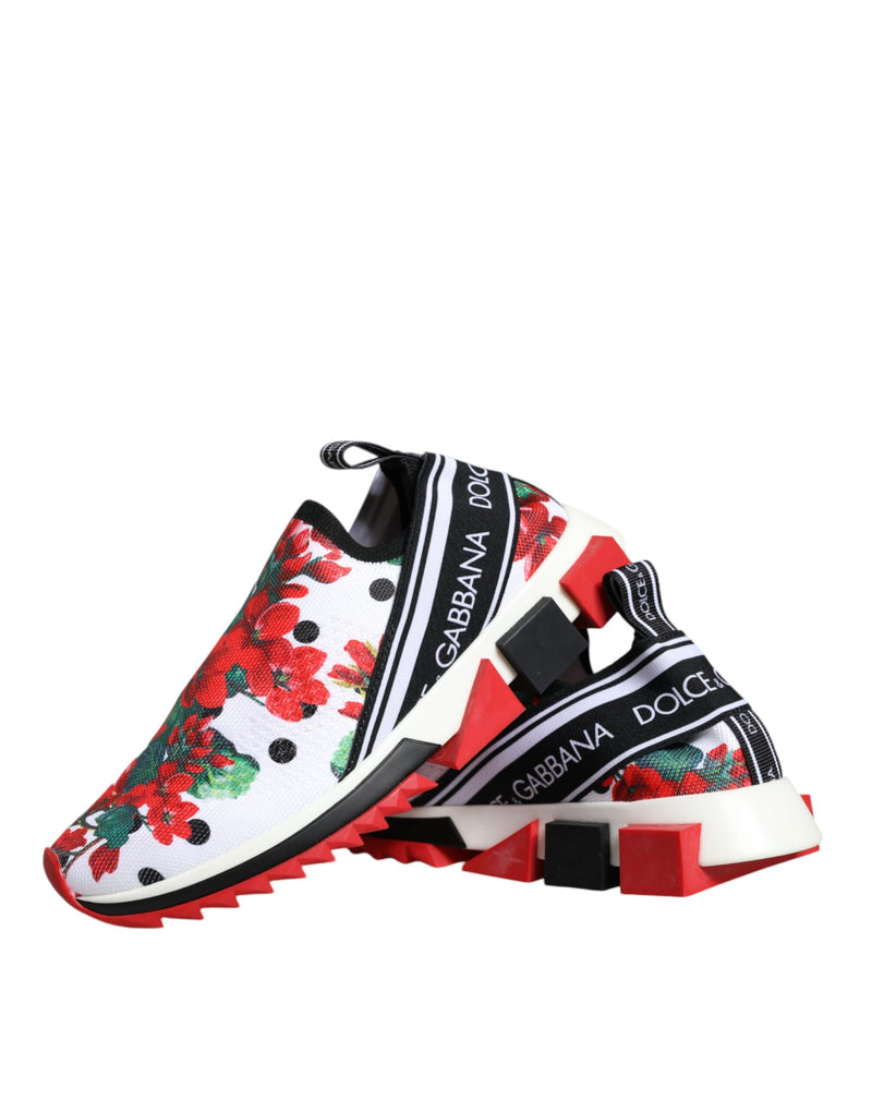 Dolce & Gabbana Multicolor Sorrento Sneakers pour Femmes