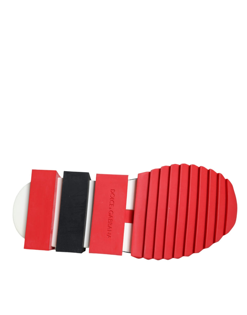 Dolce & Gabbana Multicolor Sorrento Sneakers pour Femmes