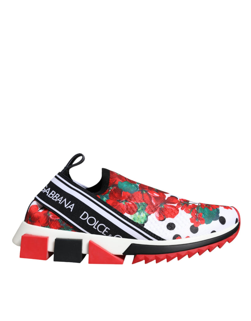 Dolce & Gabbana Multicolor Sorrento Sneakers pour Femmes