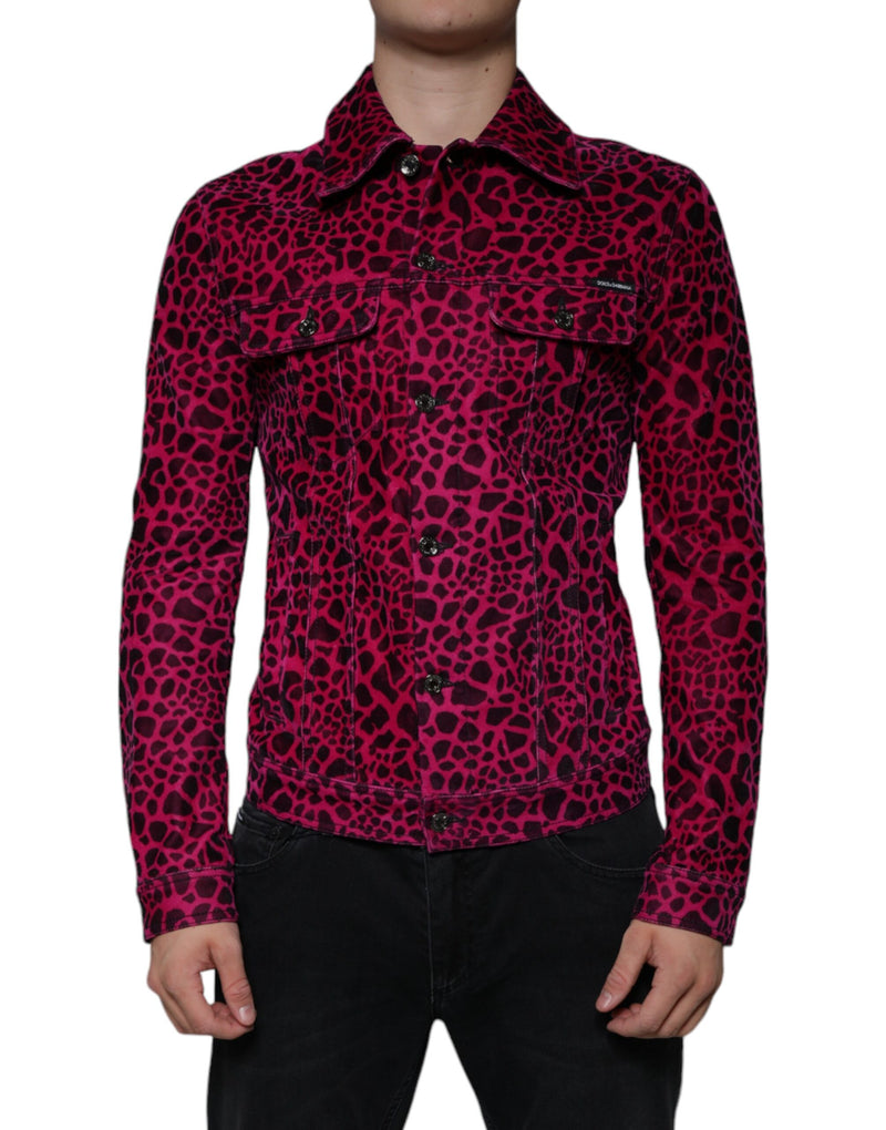 Veste à col boutonné à carreaux léopard fuchsia de Dolce & Gabbana