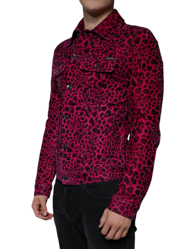 Veste à col boutonné à carreaux léopard fuchsia de Dolce & Gabbana