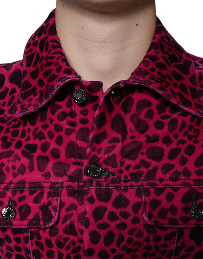Veste à col boutonné à carreaux léopard fuchsia de Dolce & Gabbana