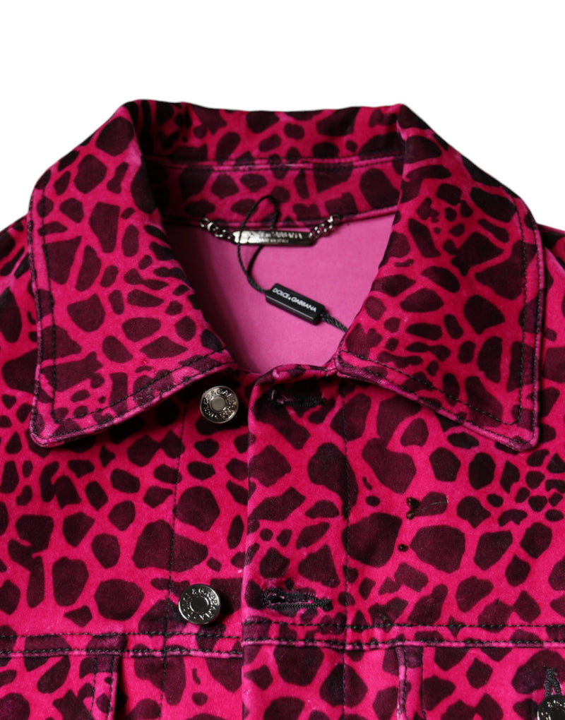Veste à col boutonné à carreaux léopard fuchsia de Dolce & Gabbana