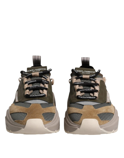 Sneakers basses Daymaster multicolores Dolce & Gabbana