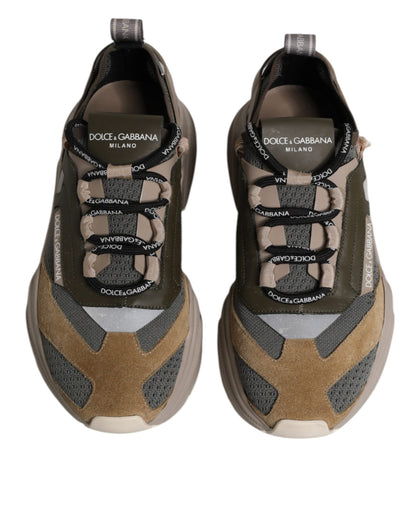 Sneakers basses Daymaster multicolores Dolce & Gabbana