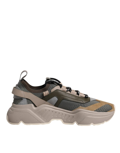 Sneakers basses Daymaster multicolores Dolce & Gabbana