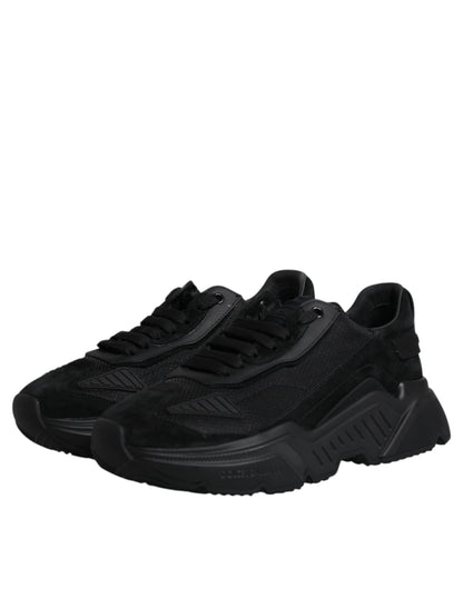 Sneakers basses Daymaster en cuir noir Dolce & Gabbana