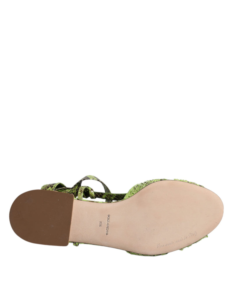 Dolce & Gabbana Green Animal Print Ankle Wrap Sandals