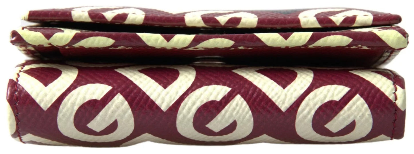 Dolce & Gabbana Multicolor DG Logo Mania Franse leren portemonnee met klep