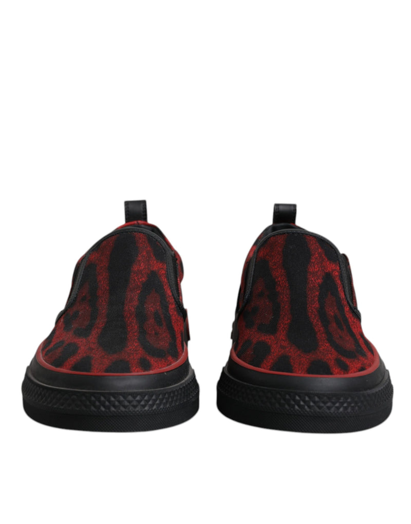 Dolce & Gabbana Red Black Leopard Low Top Sneakers for Men