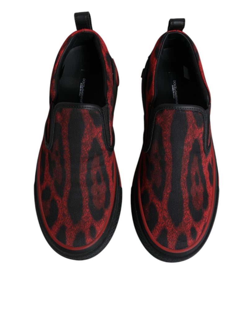 Dolce & Gabbana Red Black Leopard Low Top Sneakers for Men