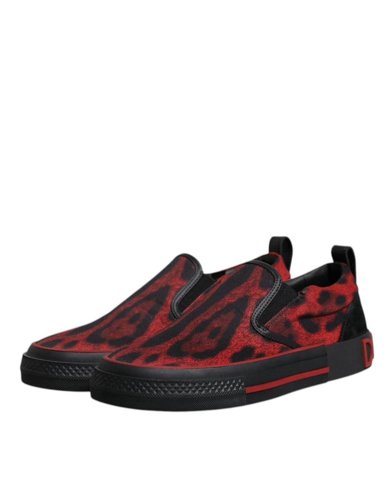 Dolce & Gabbana Red Black Leopard Low Top Sneakers for Men