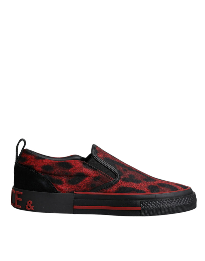 Dolce & Gabbana Red Black Leopard Low Top Sneakers for Men