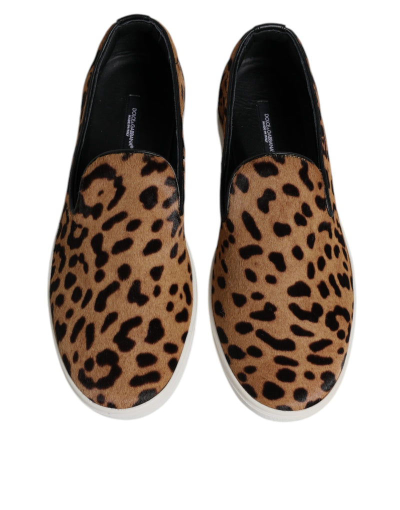 Dolce & Gabbana Sneakers en Fourrure de Veau Marron à Imprimé Léopard