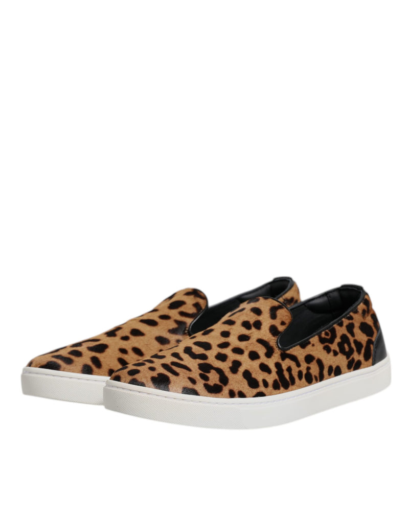 Dolce & Gabbana Sneakers en Fourrure de Veau Marron à Imprimé Léopard