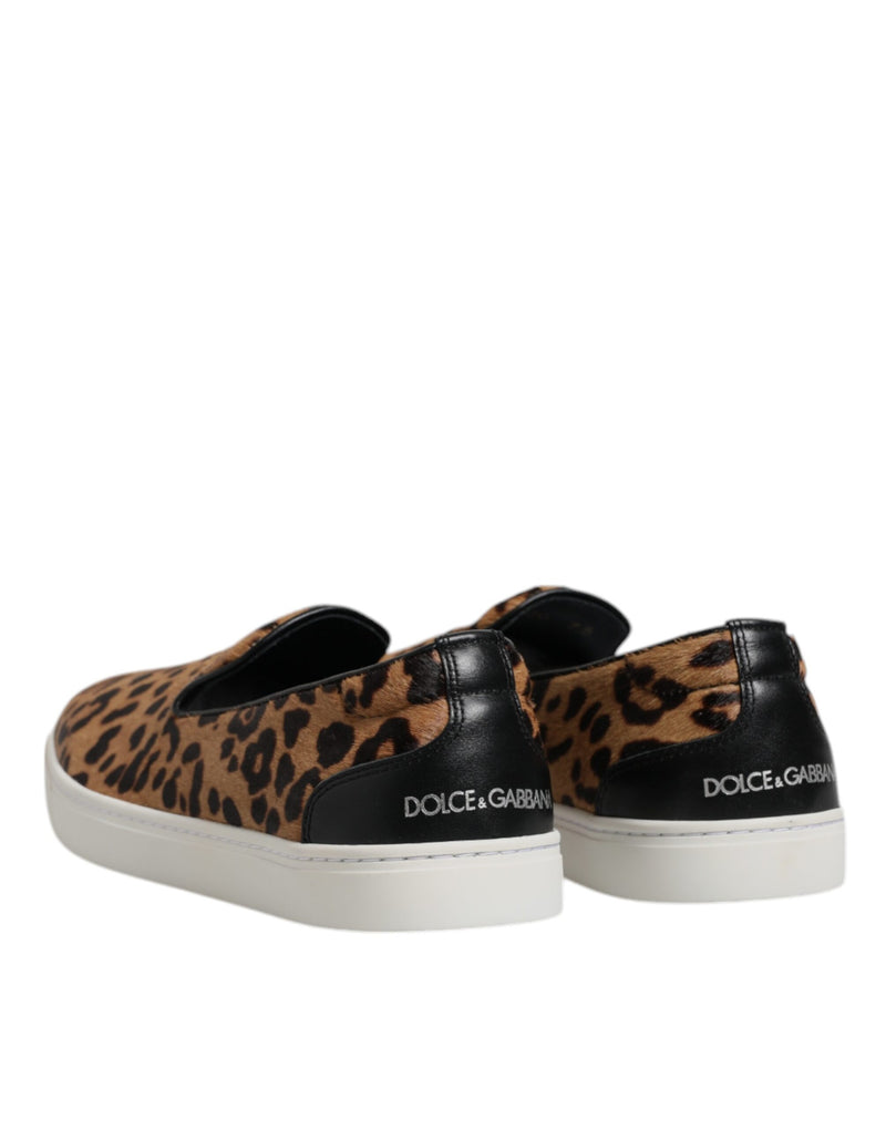 Dolce & Gabbana Sneakers en Fourrure de Veau Marron à Imprimé Léopard