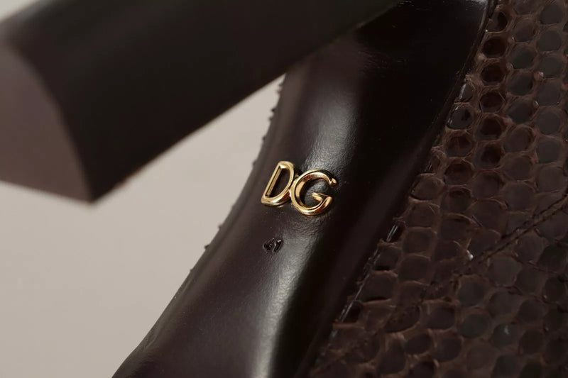 Dolce & Gabbana Bottes Hautes en Cuir Exotique Marron
