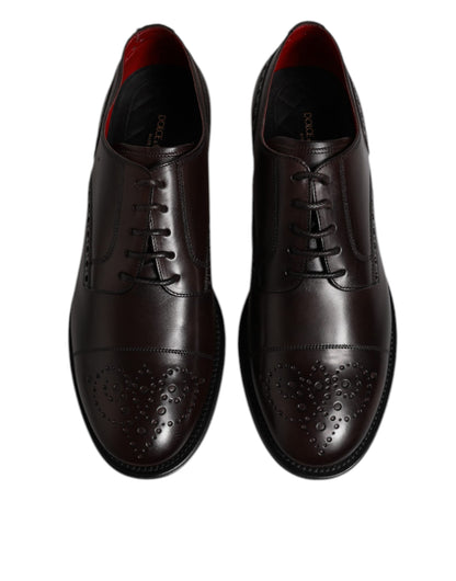 Chaussures habillées type derby en cuir de veau marron pour homme de Dolce &amp; Gabbana