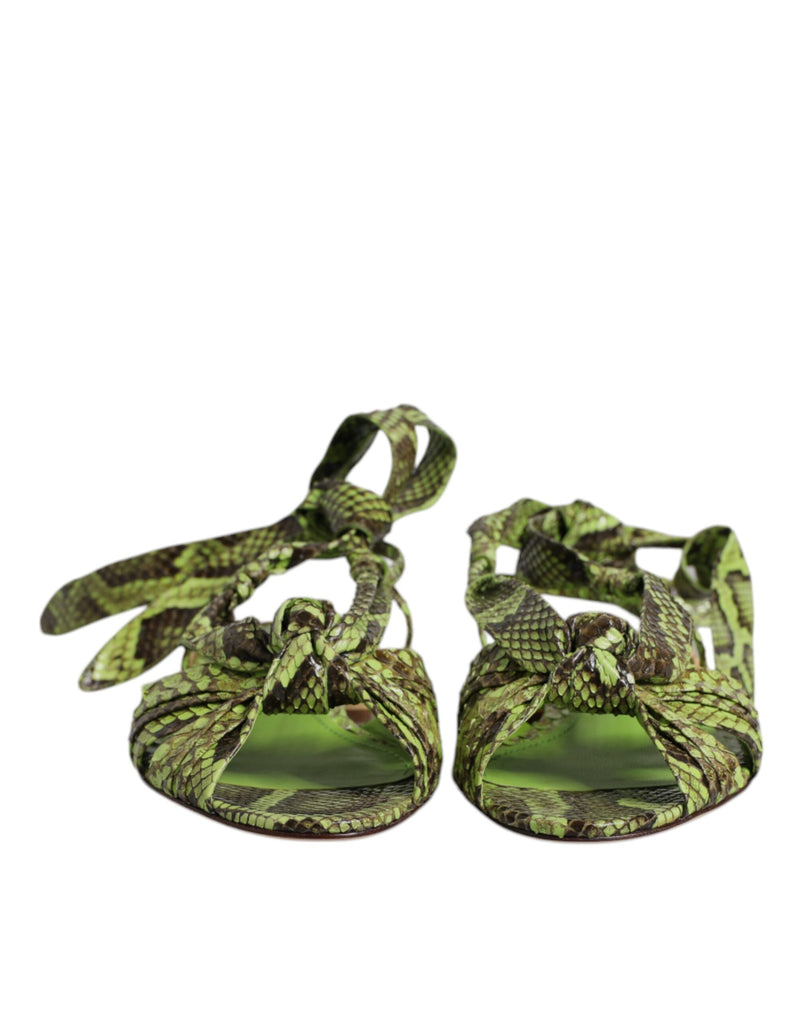 Dolce & Gabbana Sandales Cheville Imprimé Animal Vert