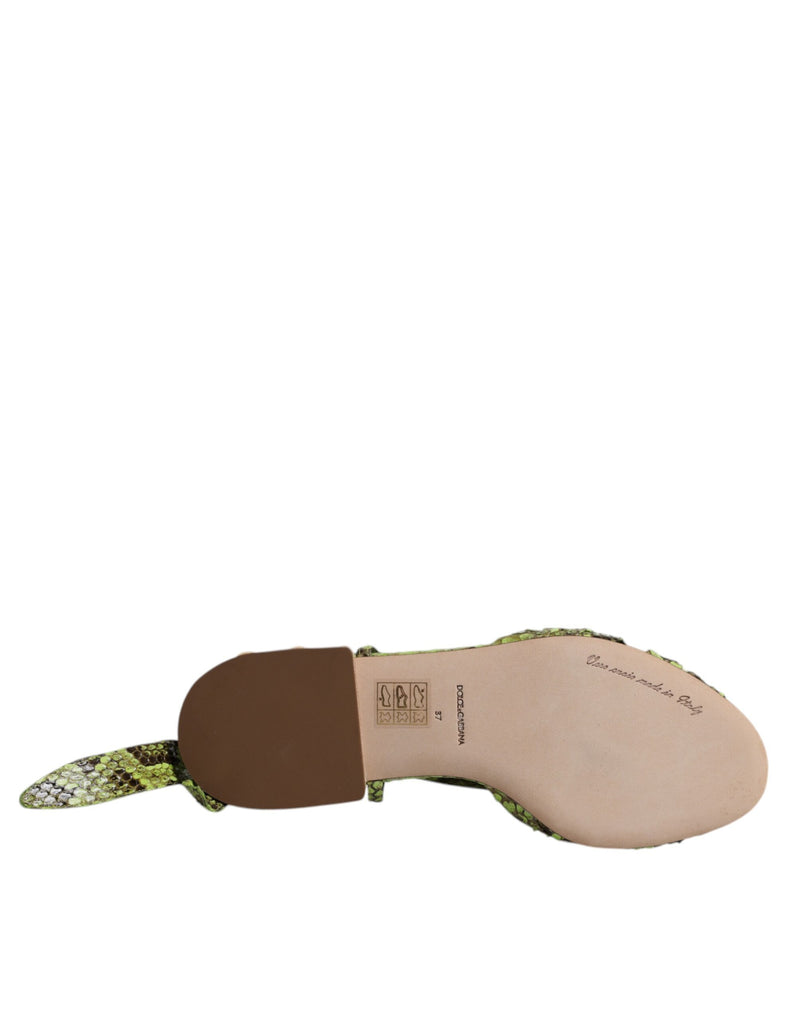 Dolce & Gabbana Sandales Cheville Imprimé Animal Vert