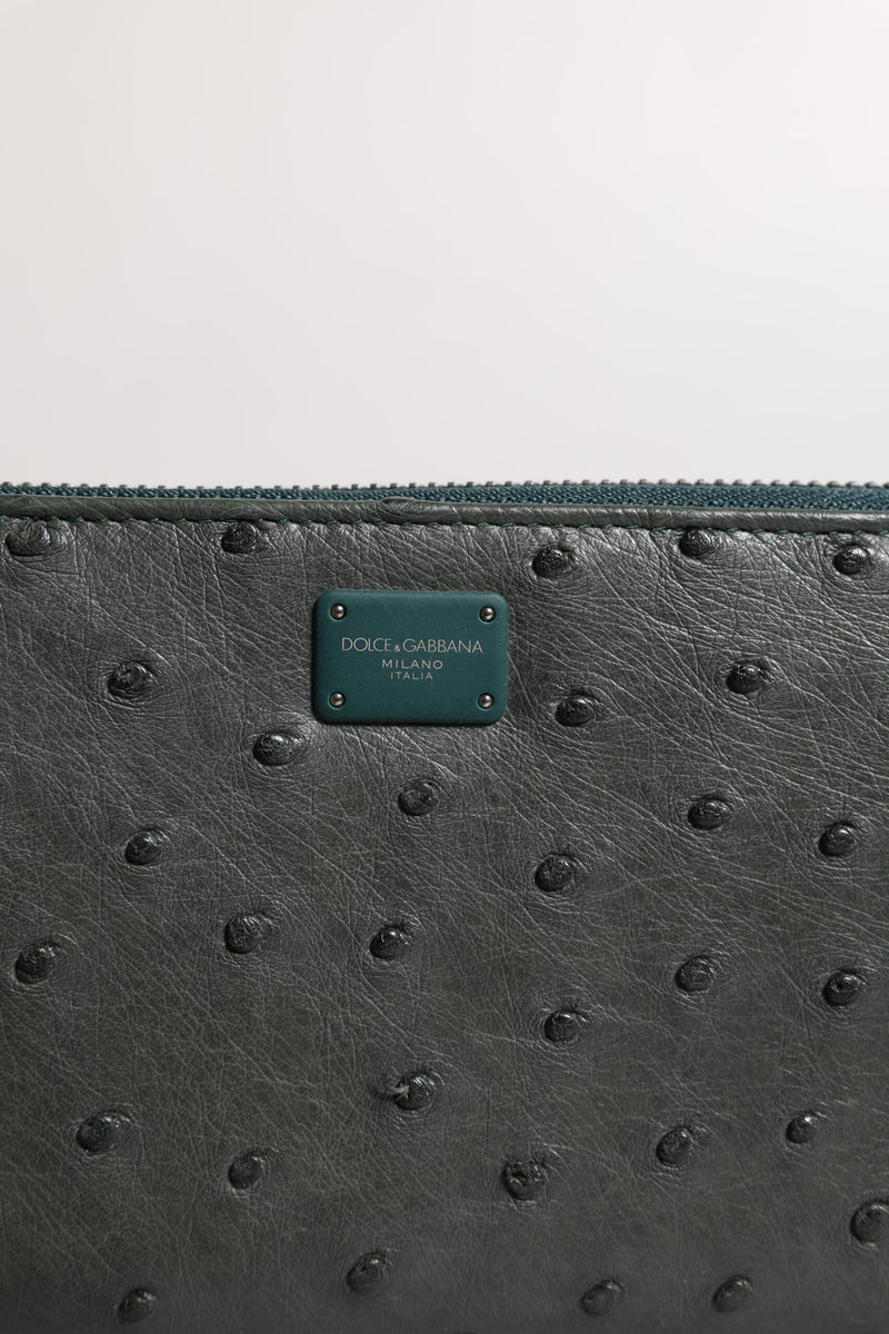 Portefeuille continental zippé Dolce &amp; Gabbana avec plaque logo en autruche verte