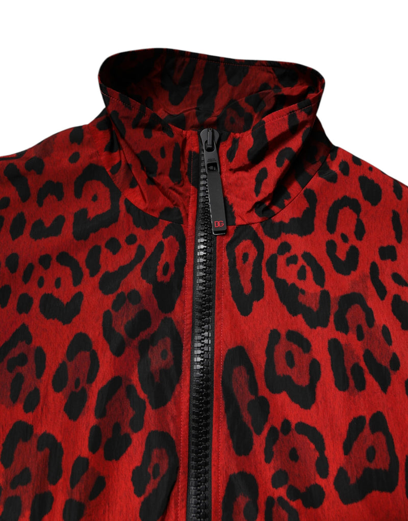Veste bomber à fermeture éclair en nylon léopard rouge de Dolce & Gabbana