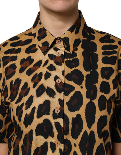 Dolce & Gabbana Brown Leopard Short Sleeve Collared Polo Top