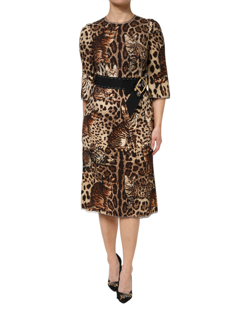 Dolce & Gabbana Robe Midi A-line à Imprimé Léopard Marron