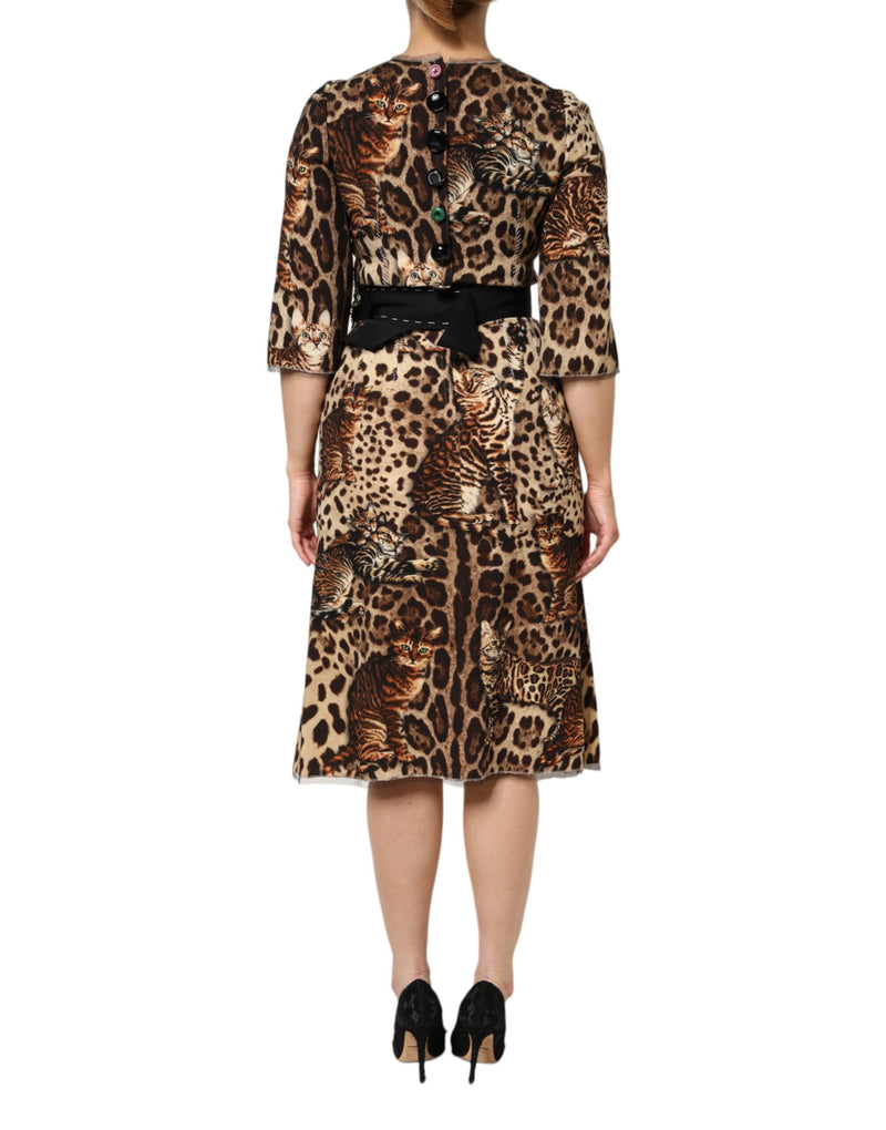 Dolce & Gabbana Robe Midi A-line à Imprimé Léopard Marron