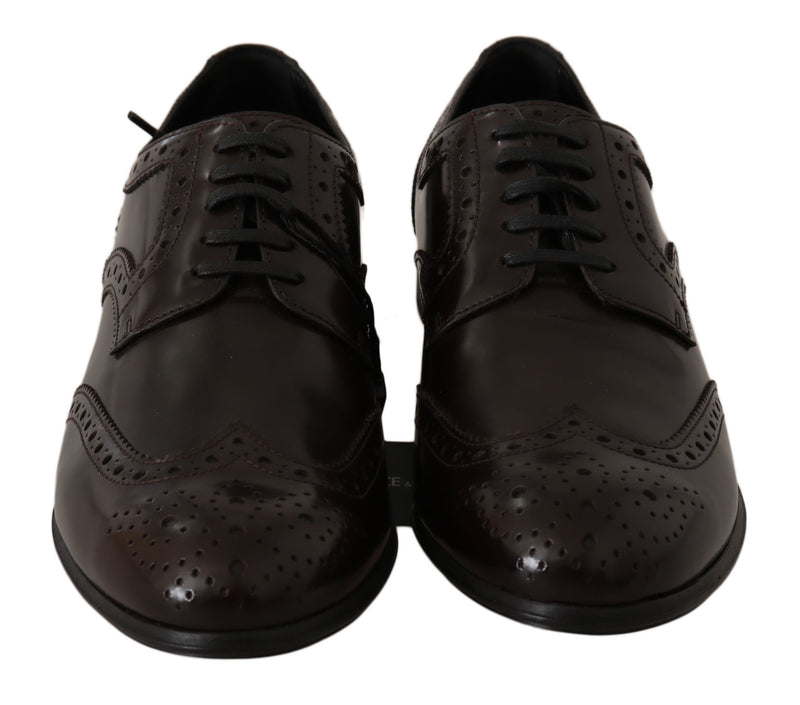 Boutures en cuir marron à lacets de type Oxford de Dolce &amp; Gabbana