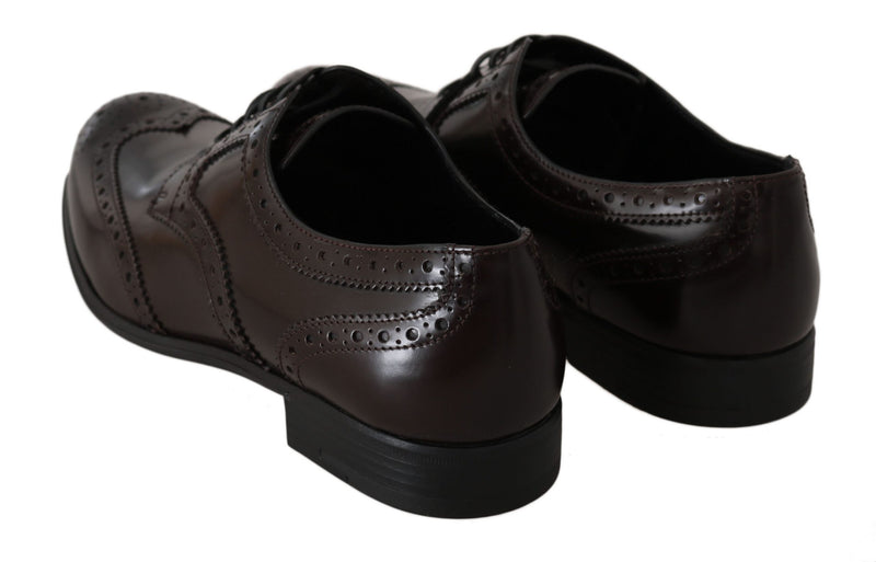 Boutures en cuir marron à lacets de type Oxford de Dolce &amp; Gabbana