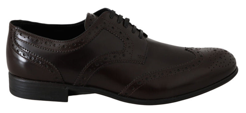 Boutures en cuir marron à lacets de type Oxford de Dolce &amp; Gabbana