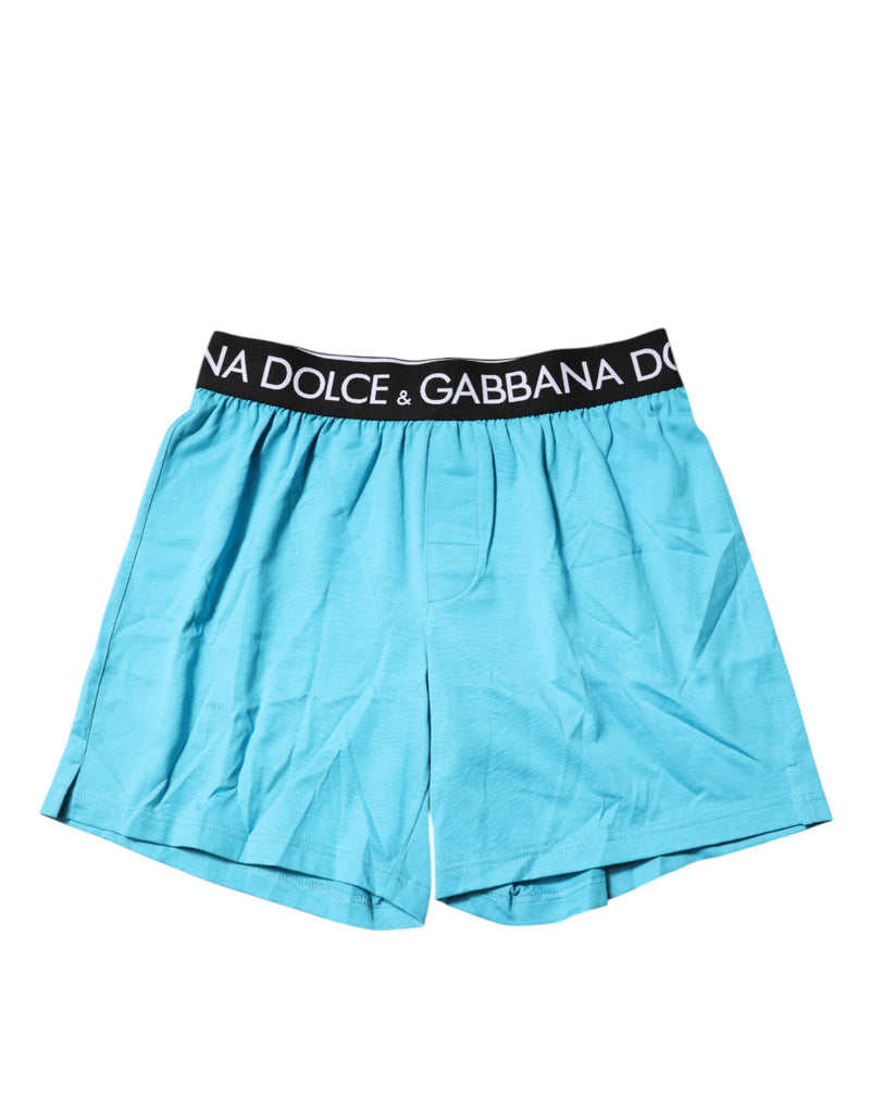 Dolce & Gabbana Blue Logo Waist Regular Boxer Shorts