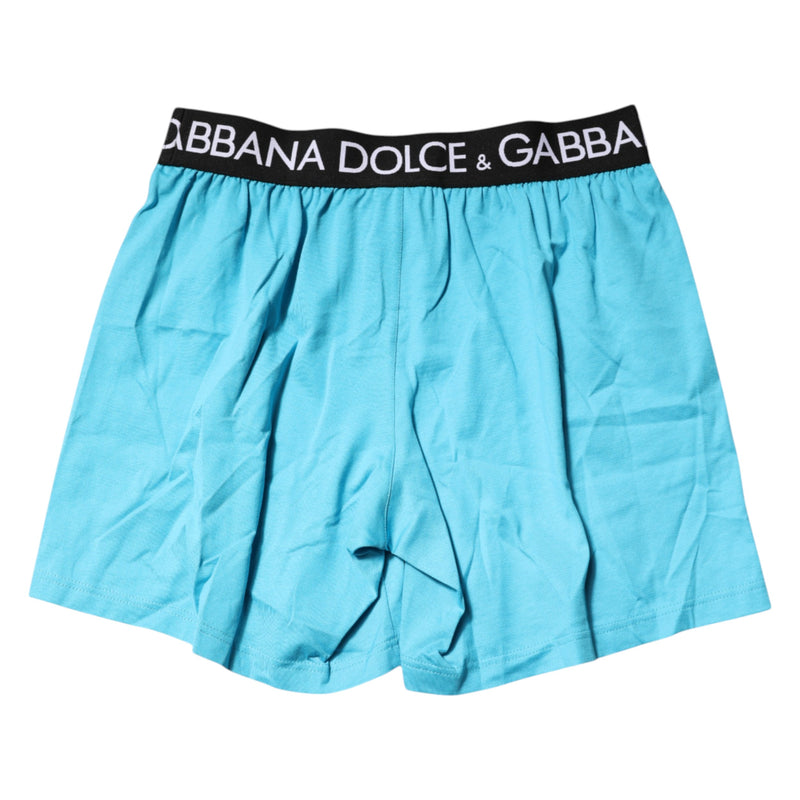 Dolce & Gabbana Blue Logo Waist Regular Boxer Shorts