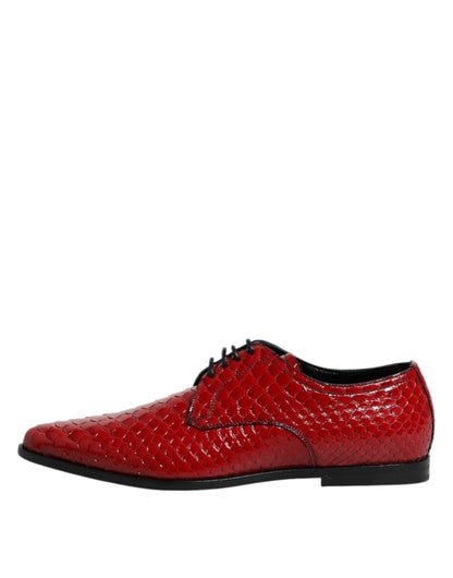 Dolce & Gabbana Red Exotic Leather Lace Up Dress Derby Shoes