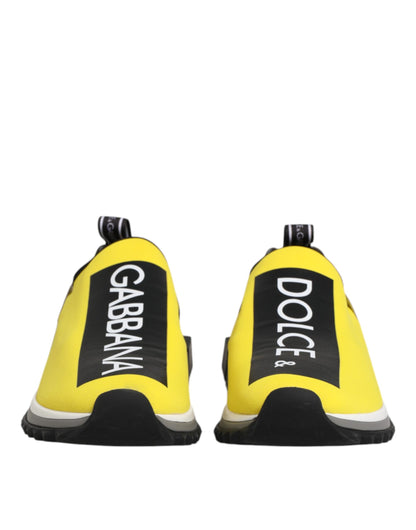 Sneakers basses Sorrento Dolce & Gabbana, logo jaune.