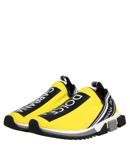 Sneakers basses Sorrento Dolce & Gabbana, logo jaune.