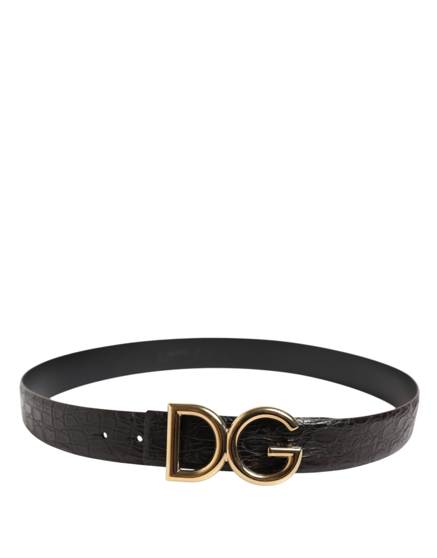 Ceinture à boucle logo DG en cuir exotique noir Dolce & Gabbana